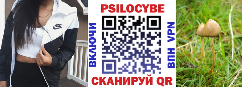hydra как зайти  Электрогорск  нарко площадка как зайти  Псилоцибиновые грибы GOLDEN TEACHER 